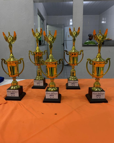  Entrega das Faixas - Foto 120