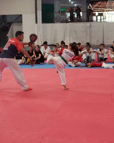 WORKSHOP TAEKWONDO - Foto 41 WORKSHOP TAEKWONDO - Foto 41